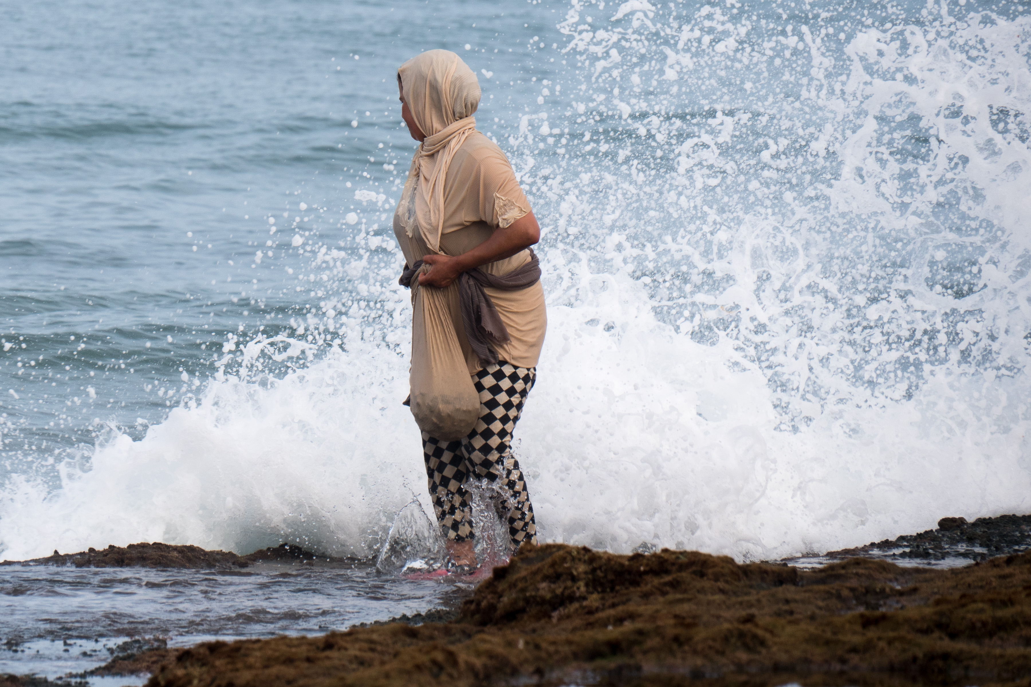 Muschelsucherin - Moulay Bousselham